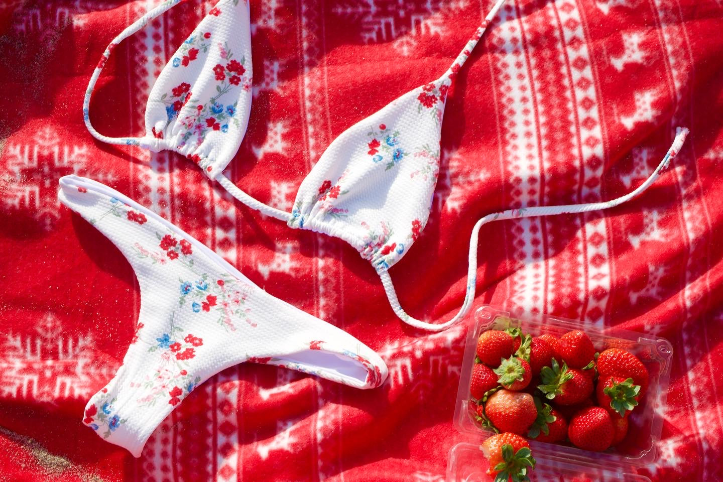 Picnic in Petunias Top - ANINA LEVIAR