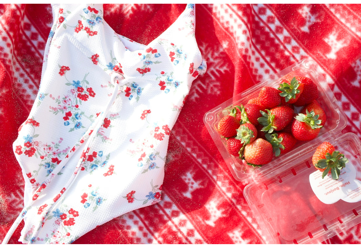 Picnic in Petunias One Piece - ANINA LEVIAR